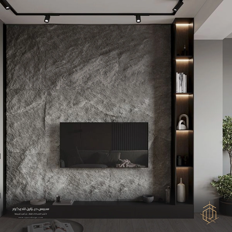 بديل الحجر للتلفزيون